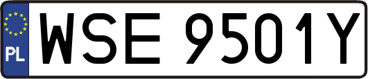 WSE9501Y