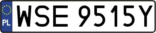 WSE9515Y