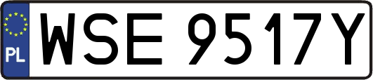 WSE9517Y