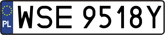 WSE9518Y