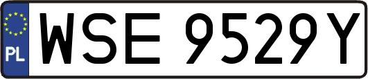 WSE9529Y