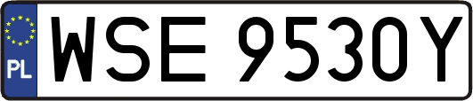 WSE9530Y