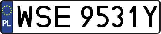 WSE9531Y