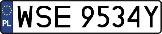 WSE9534Y