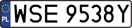 WSE9538Y