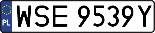 WSE9539Y
