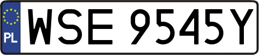 WSE9545Y