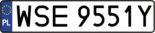WSE9551Y