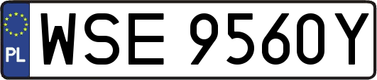 WSE9560Y