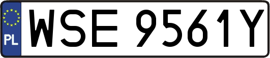 WSE9561Y