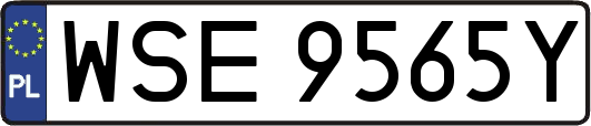 WSE9565Y