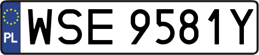 WSE9581Y