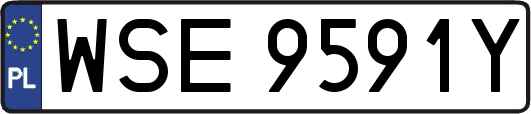 WSE9591Y
