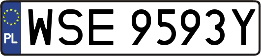 WSE9593Y
