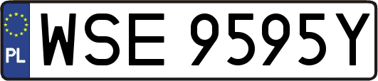 WSE9595Y