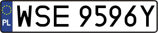 WSE9596Y