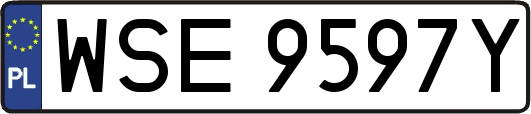 WSE9597Y
