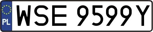 WSE9599Y