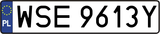 WSE9613Y