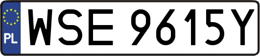 WSE9615Y