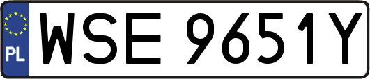 WSE9651Y