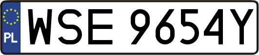 WSE9654Y
