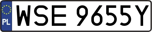 WSE9655Y