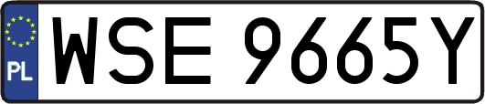 WSE9665Y