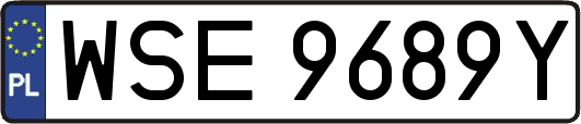 WSE9689Y