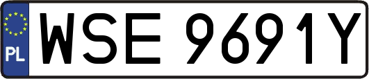 WSE9691Y