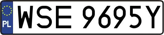 WSE9695Y