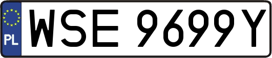 WSE9699Y