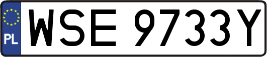 WSE9733Y