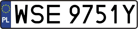 WSE9751Y