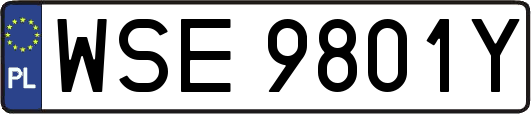 WSE9801Y