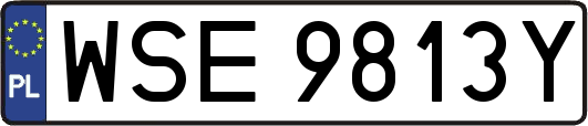 WSE9813Y