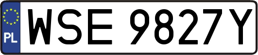 WSE9827Y