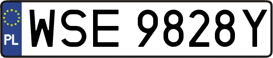 WSE9828Y