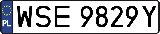 WSE9829Y