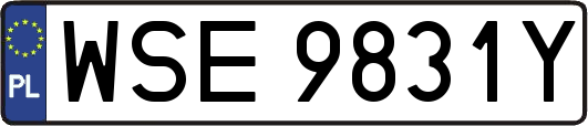 WSE9831Y