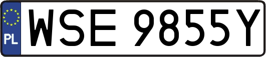 WSE9855Y