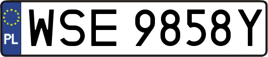 WSE9858Y