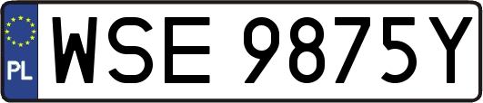 WSE9875Y