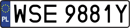 WSE9881Y