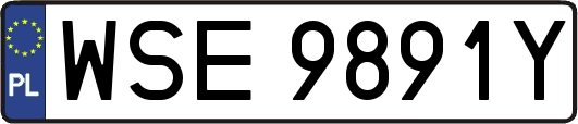 WSE9891Y