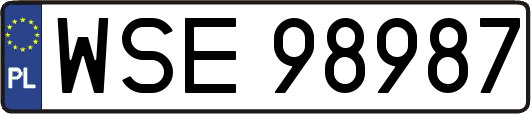WSE98987