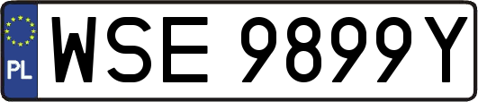 WSE9899Y