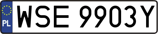 WSE9903Y