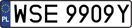 WSE9909Y