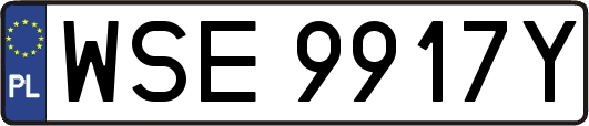 WSE9917Y